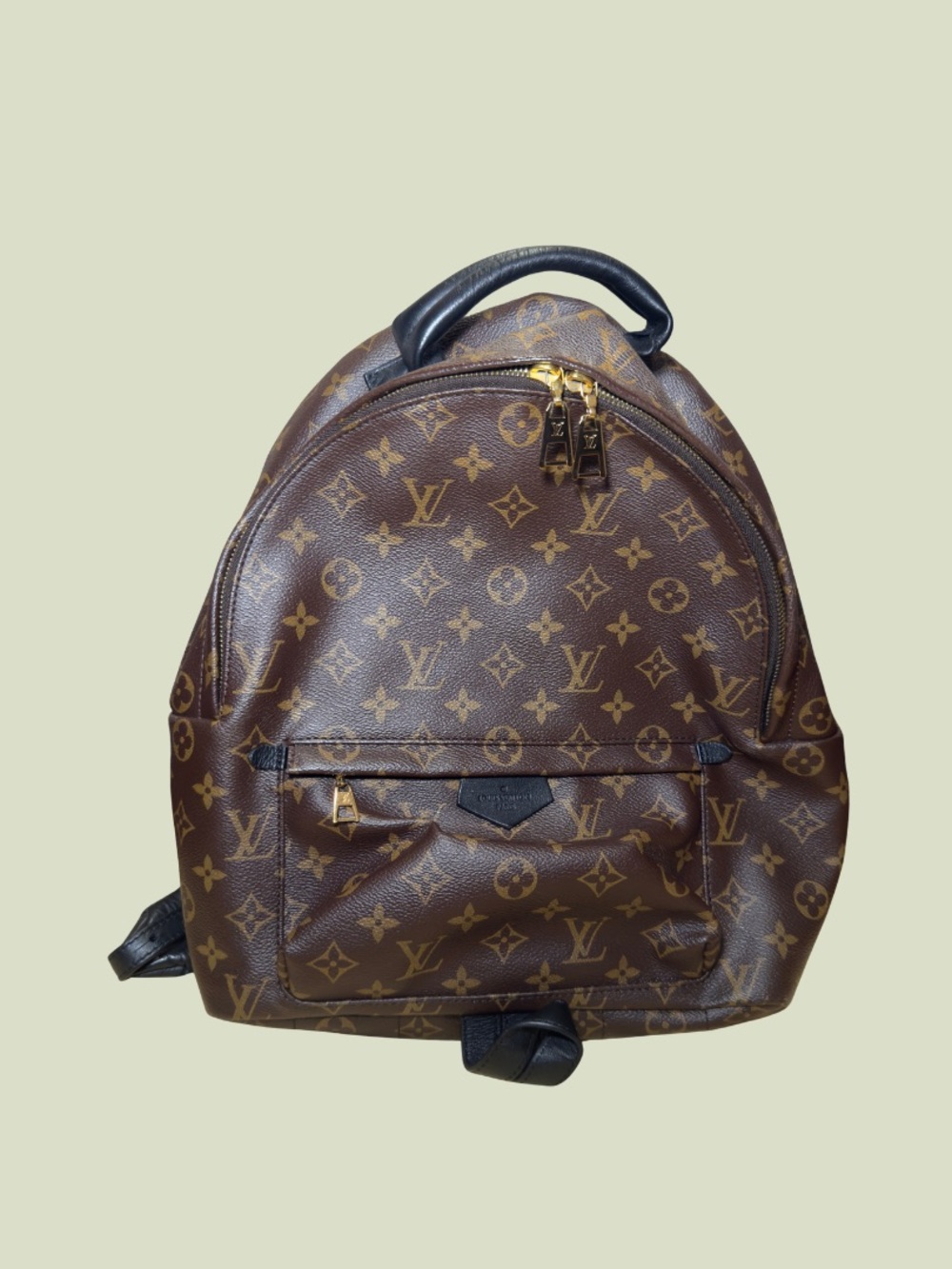 Louis Vuitton Monogram Palm Springs Backpack MM